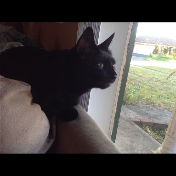 ❤️ 10 FOR 25 CLOTHING Or BUY 1 get 2 FREE all clot - Picture 2 of 2